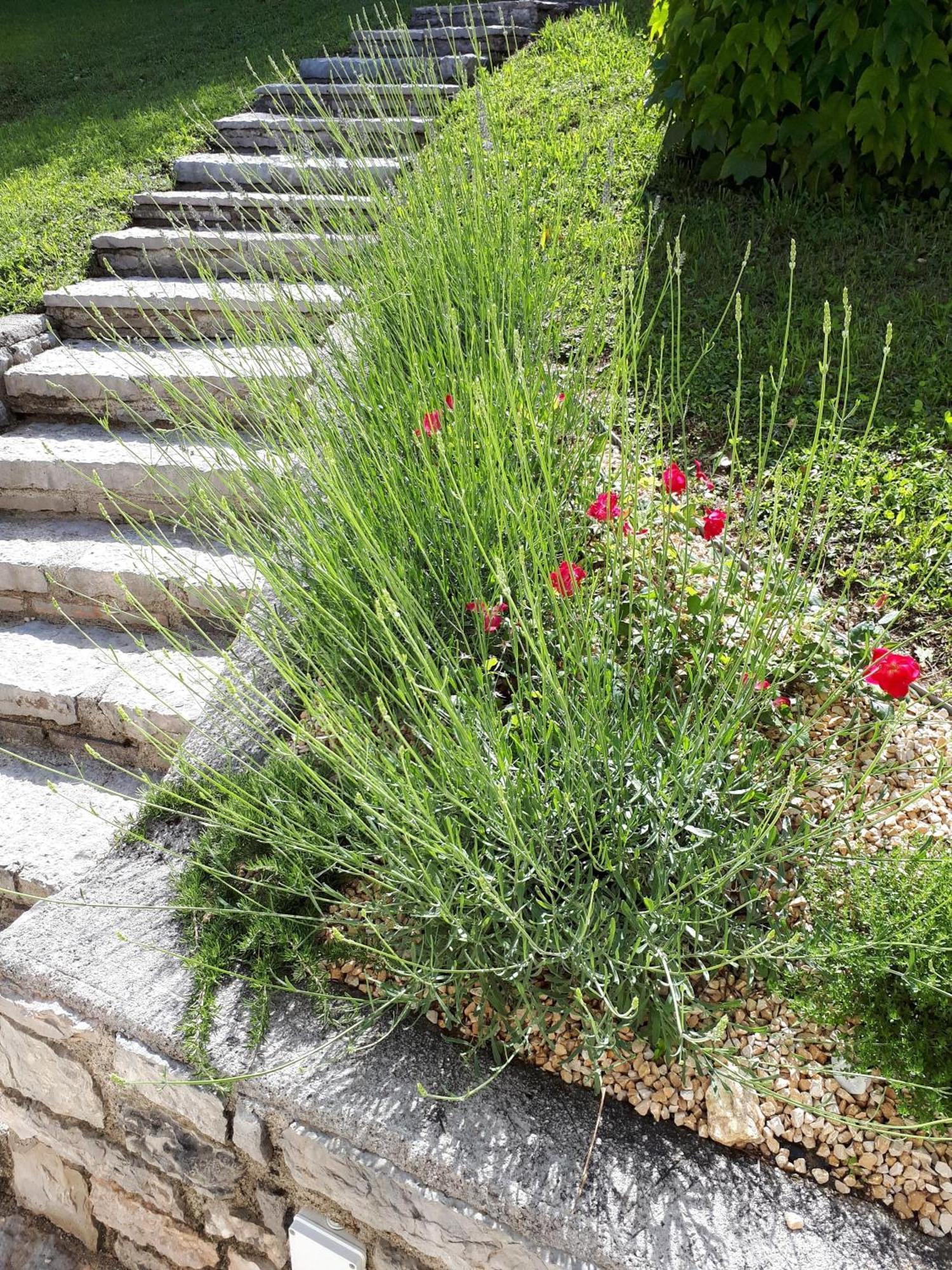 Ferienhaus In Tremosine Sul Garda Pieve  Kültér fotó